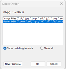 Figure 4 - DEM Import Selection.png